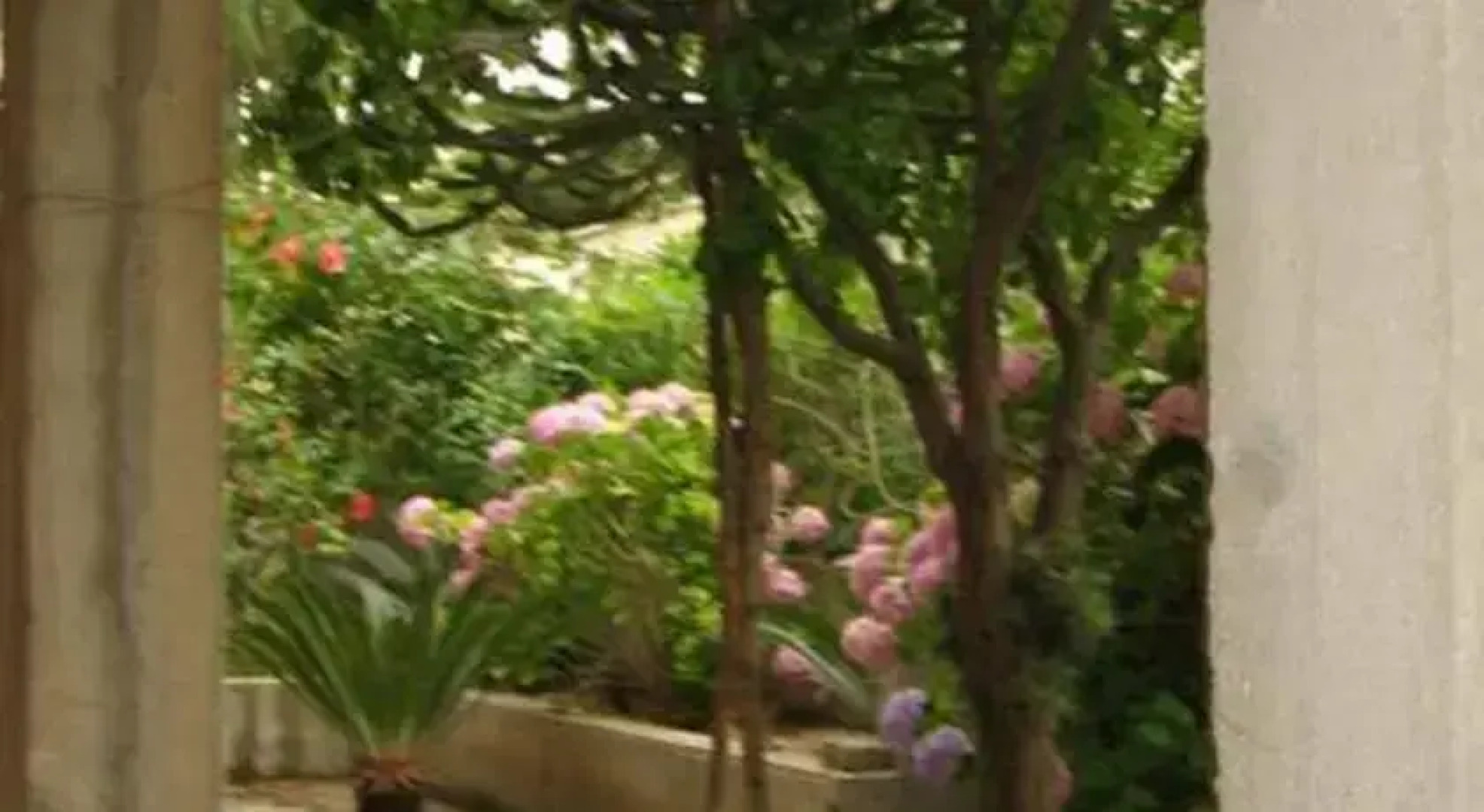 Holiday Via Giovanna Gulli