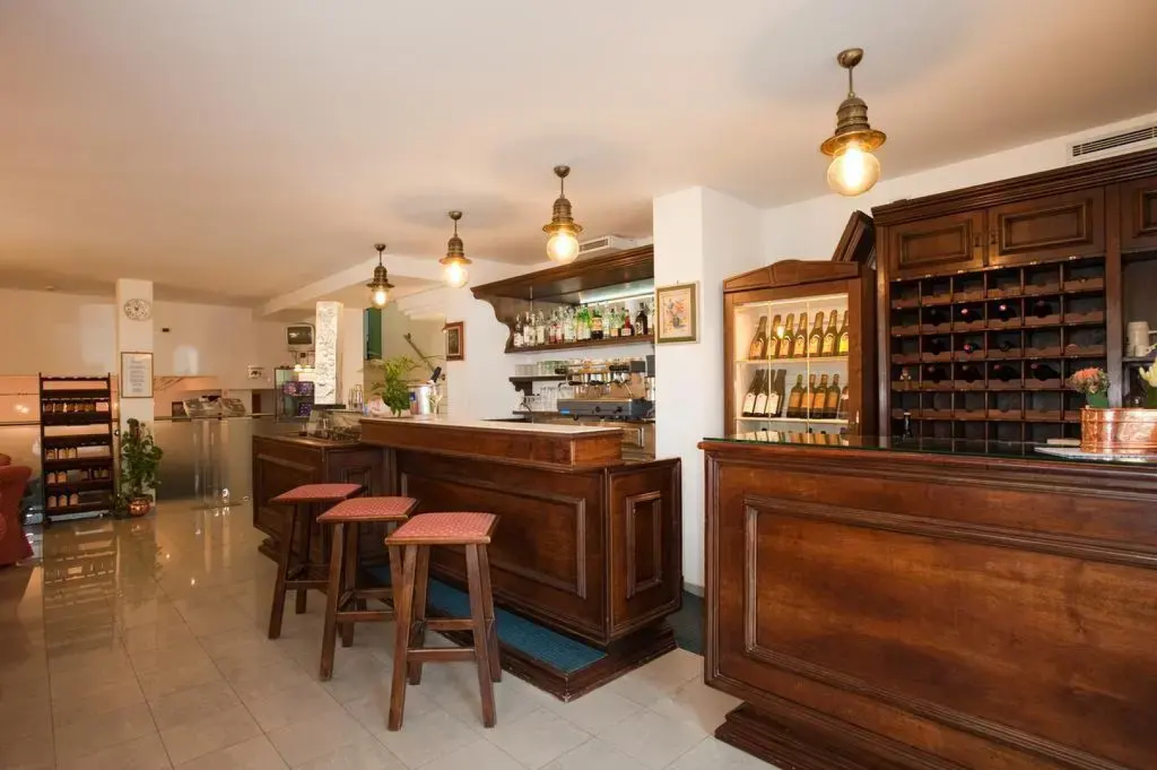 Hotel Salus