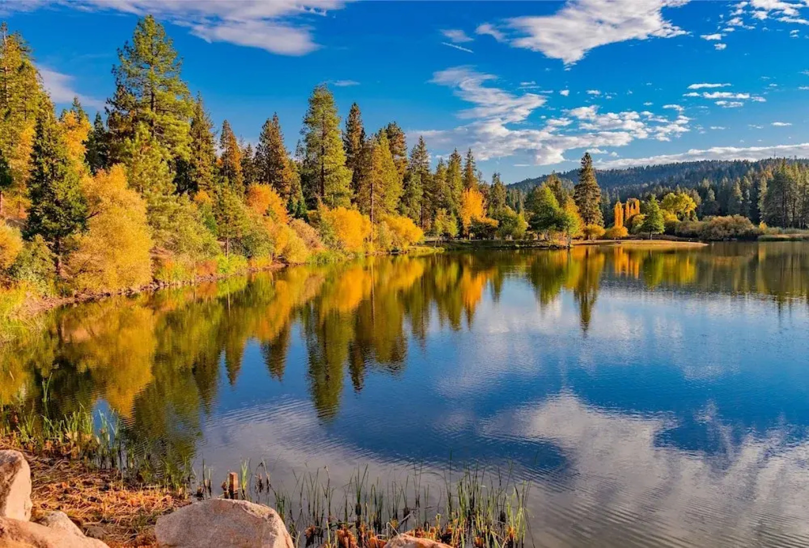 Serene : Forest Views & Wraparound Deck! 3 Bedroom Home