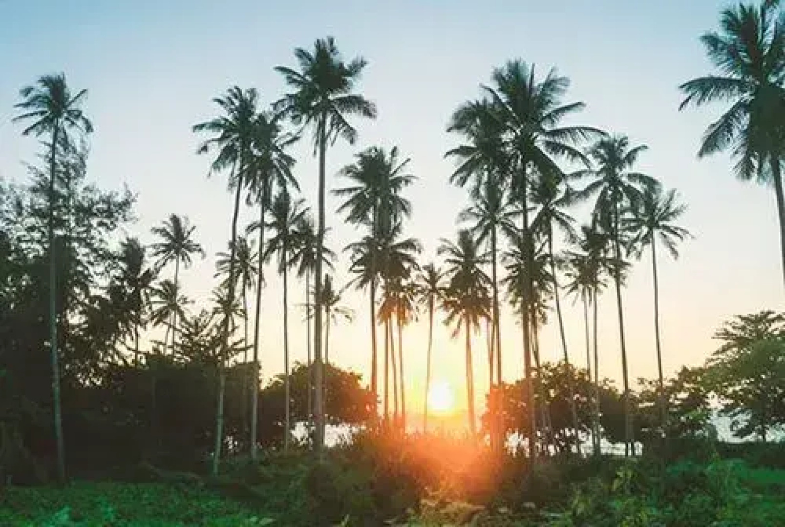 KVC Double Bedroom Apartment B