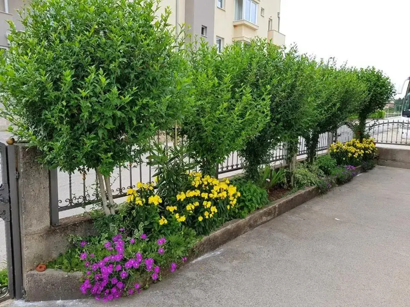 Pansion Speranza Međugorje