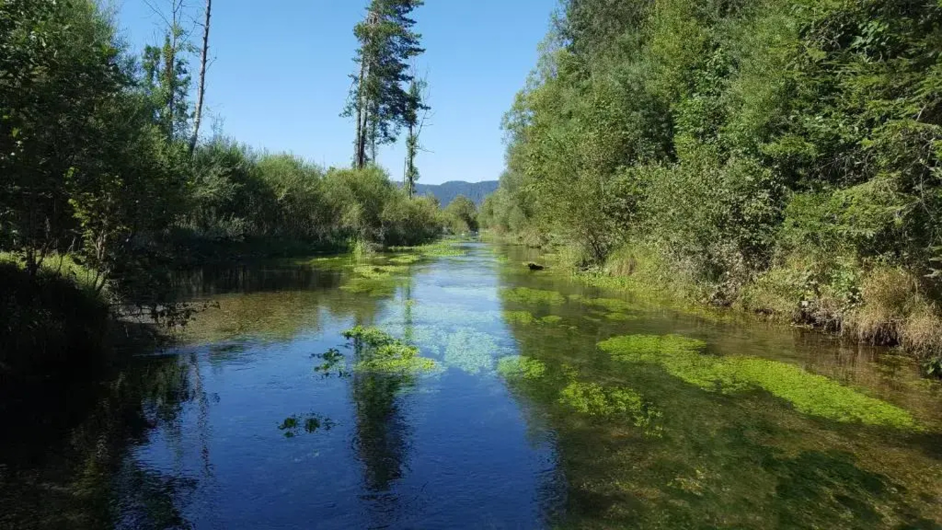 Apartements Breitenwang