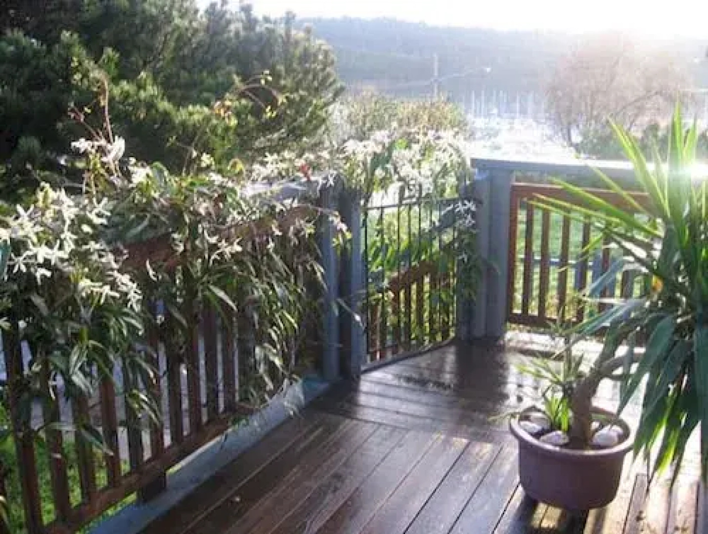 The Pine and Picket Bed & Breakfast