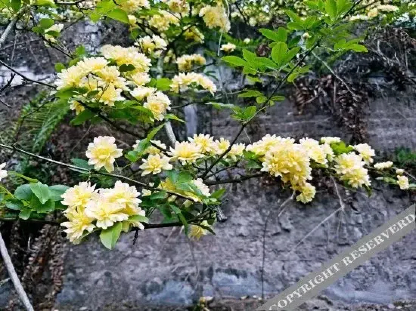 Shengli Liyuan Hotel