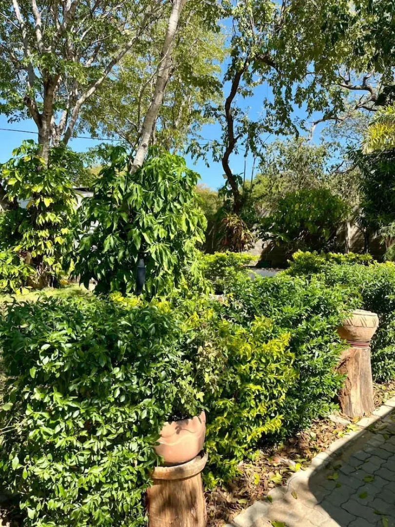 Beulah Court Vineyard Guest House