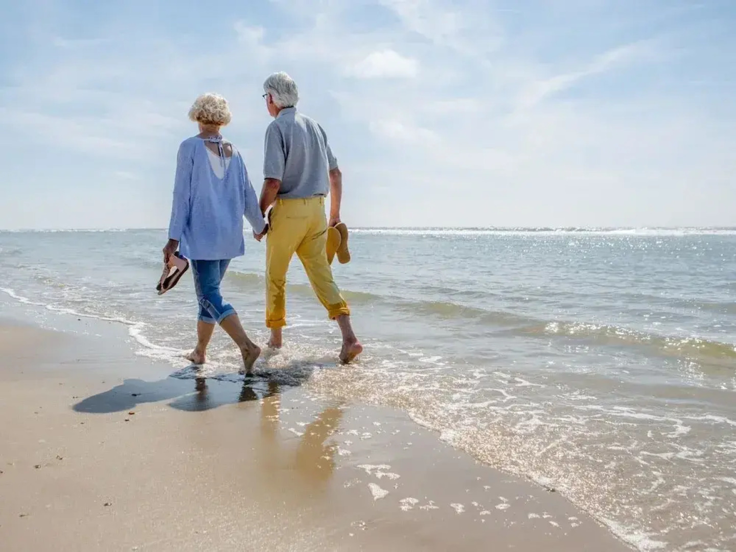 Holiday Home Near North Sea Beach, Breeduyn
