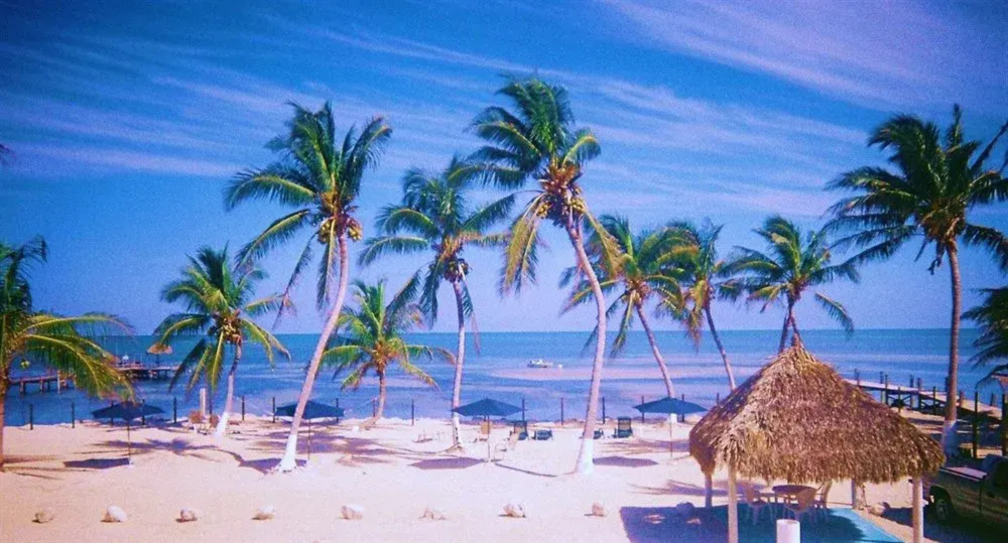 Seashell Beach Resort