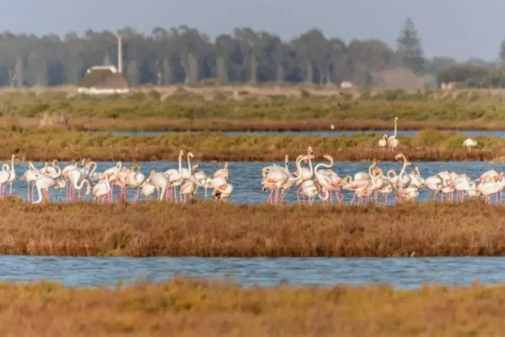 Apartamento PEPA. En el corazón del Delta.