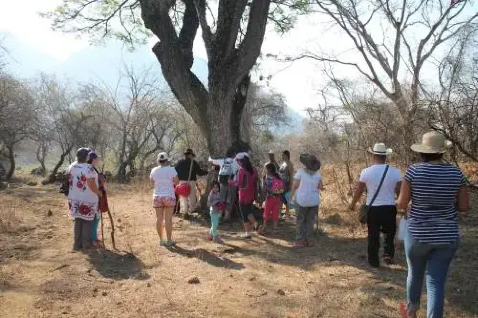 Centro Holistico Mistico Luz Azul Amatlan