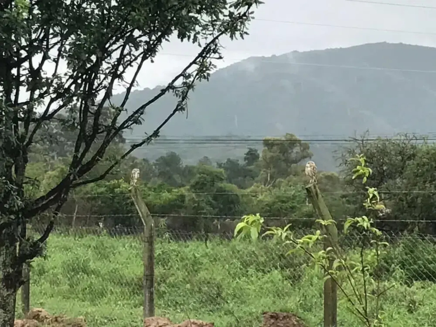 Las Lomitas - Casa de Campo