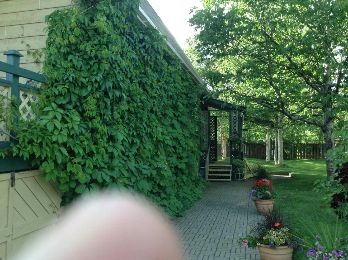 Gîte aux Bois-Verts