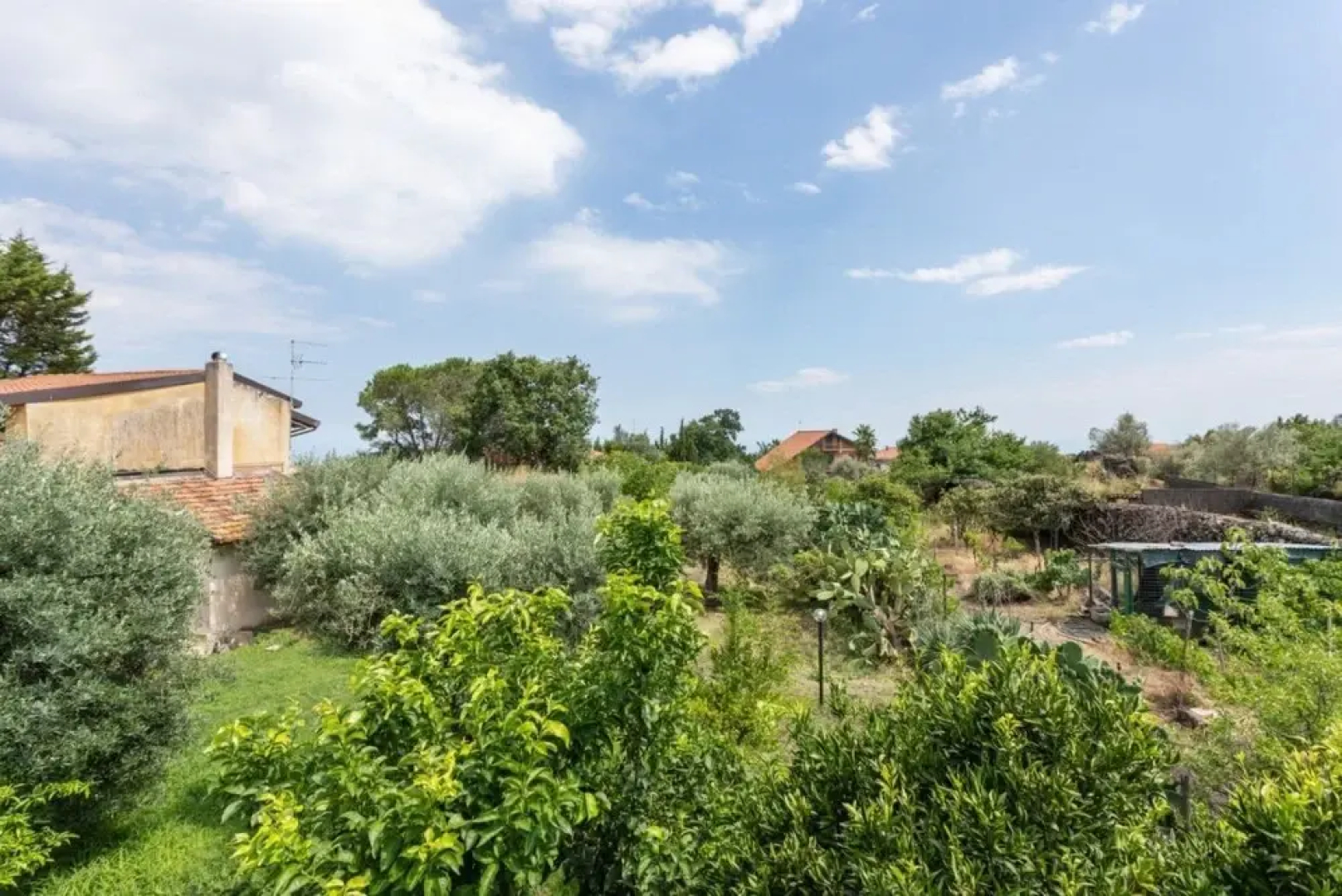 Pedara Lovely Flat with Terrace