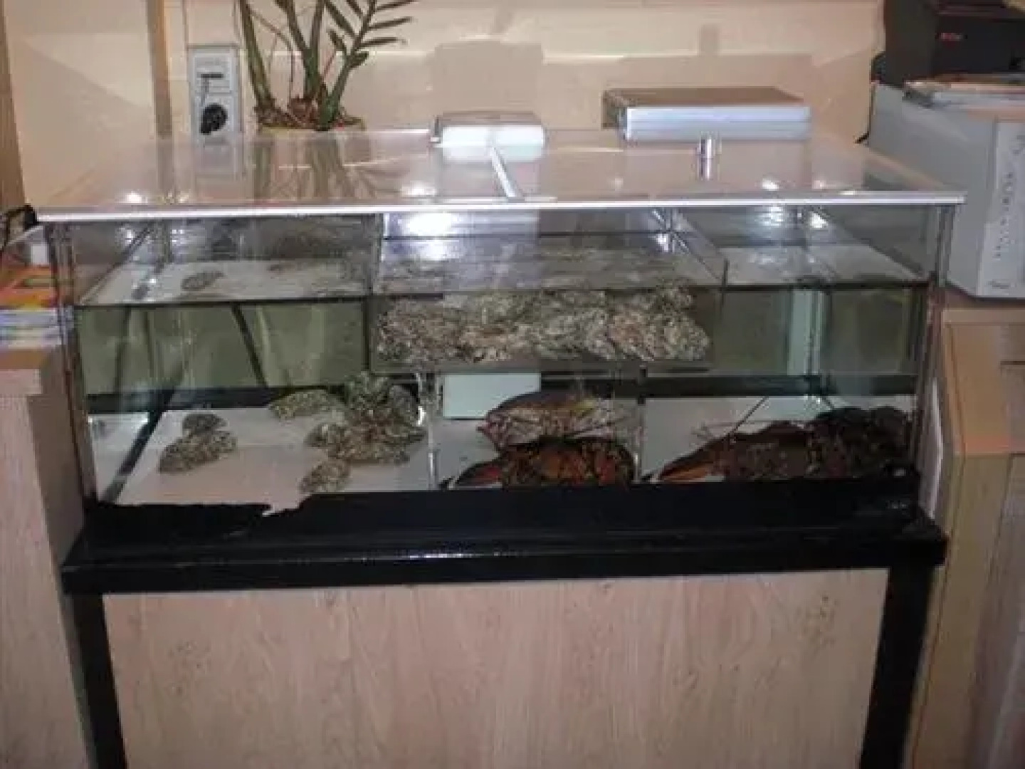 Hotel Restaurant Beau Séjour