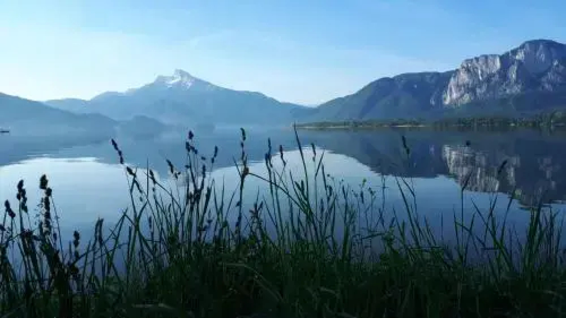 Gesundheitshof Daxinger Bio