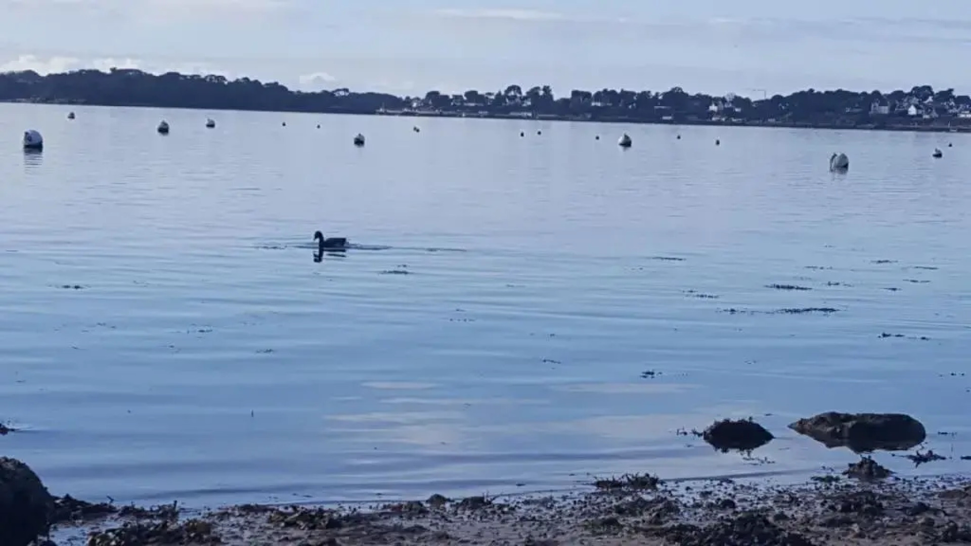 Au plaisir d’accueillir