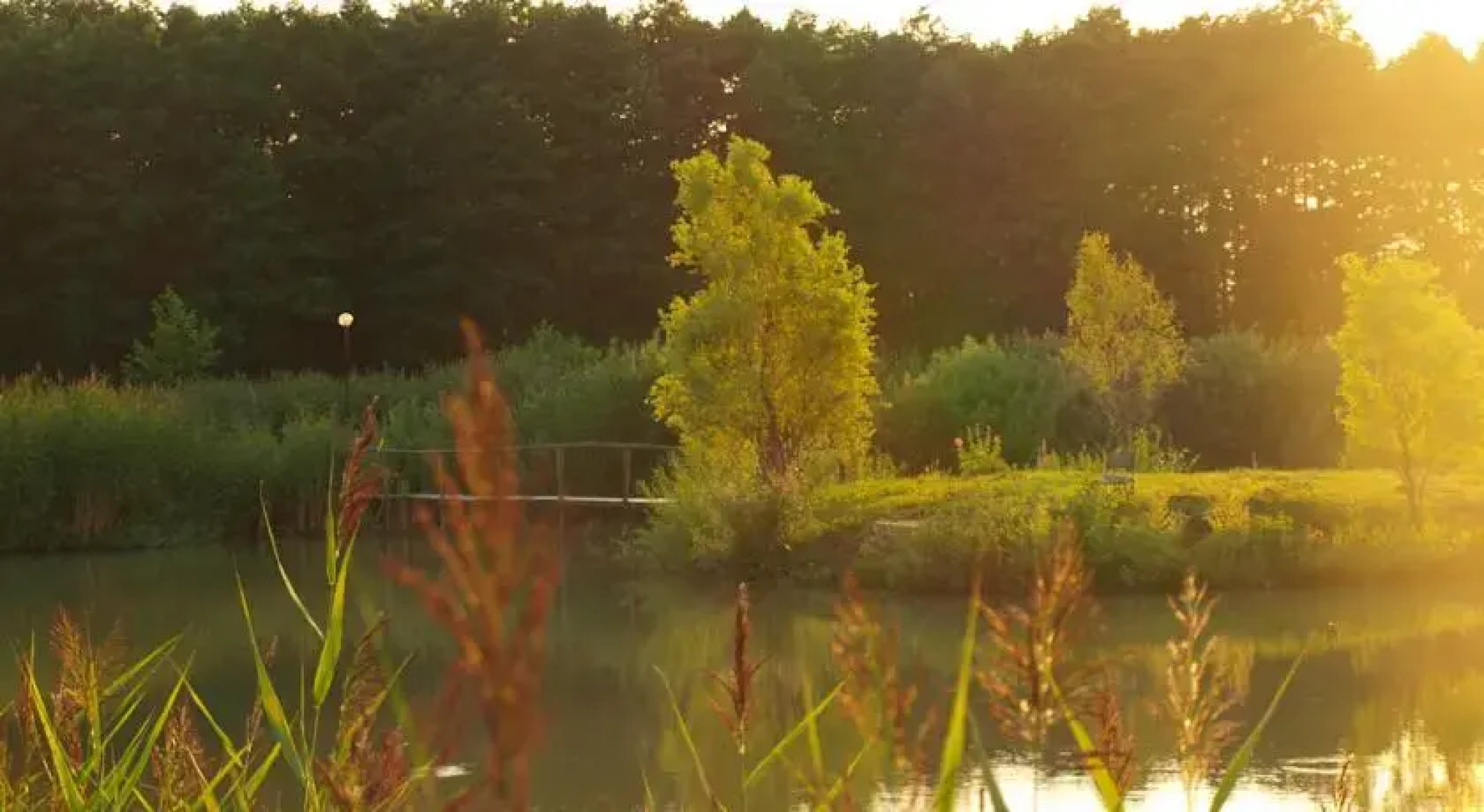 Przystań Żeglarska Skłodowo