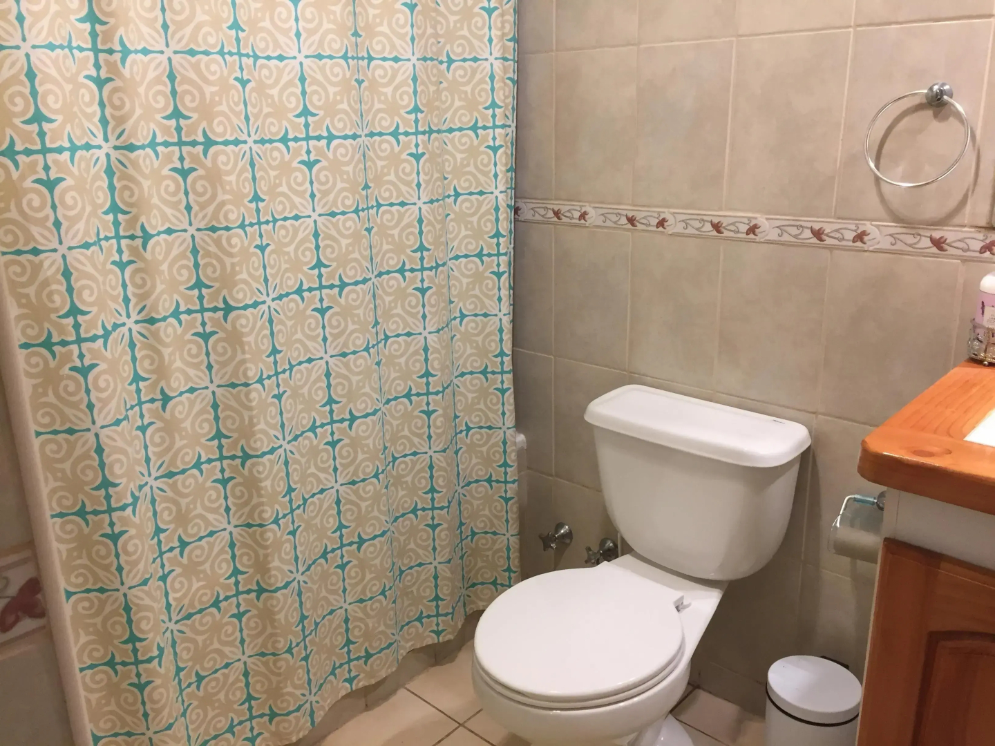 Peumayén Departamento Pucón