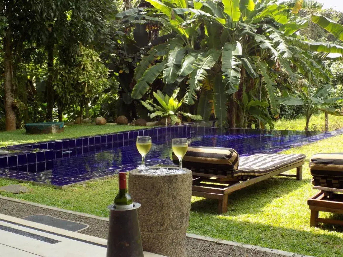 Madampe House by Tree