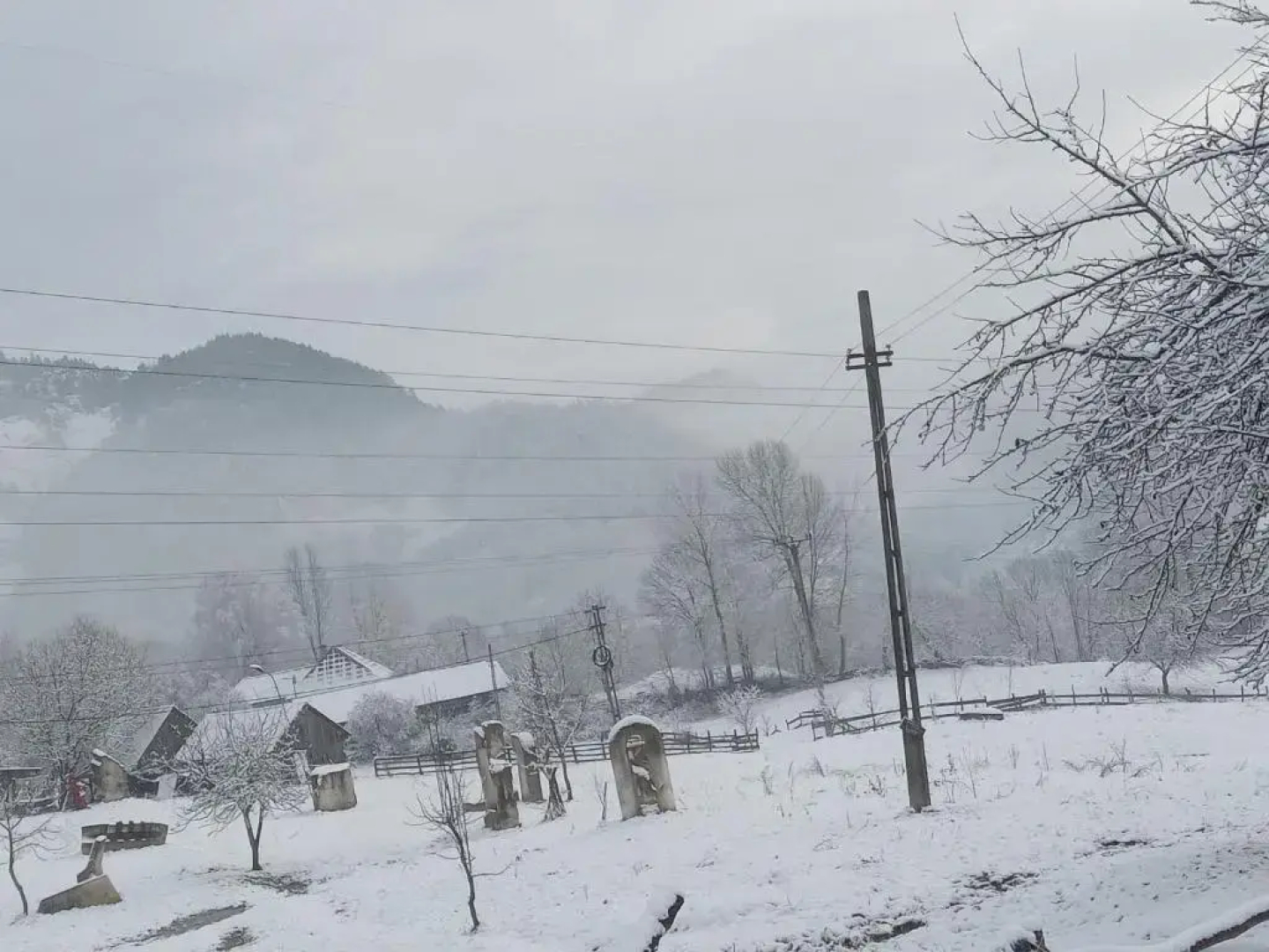 Room in Guest Room - Healthy Retreat Holiday in Mountain