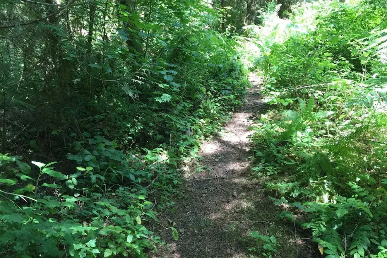 44MBR - Hot Tub- Pets Ok - WiFi - BBQ - Sleeps 6