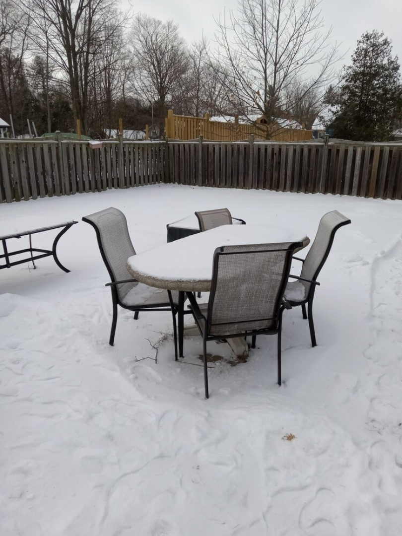 Cozy Cottage near Lake Simcoe