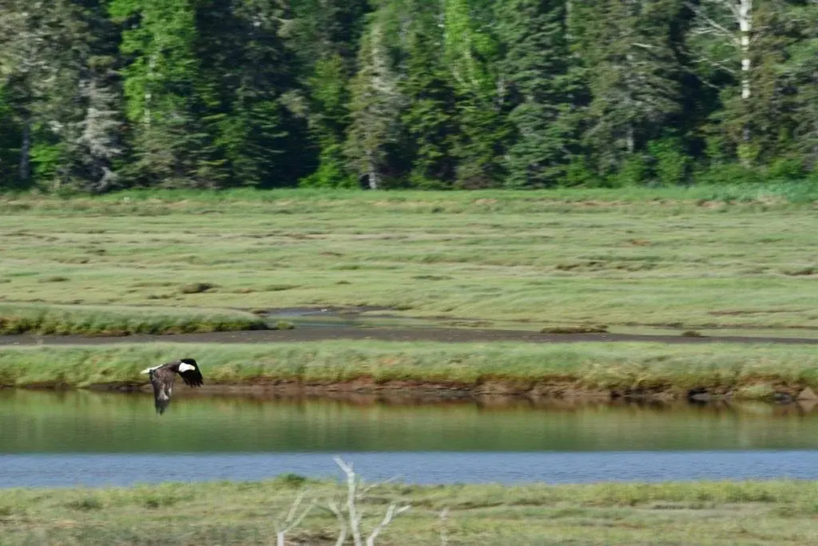 La Conche Saint-Martin
