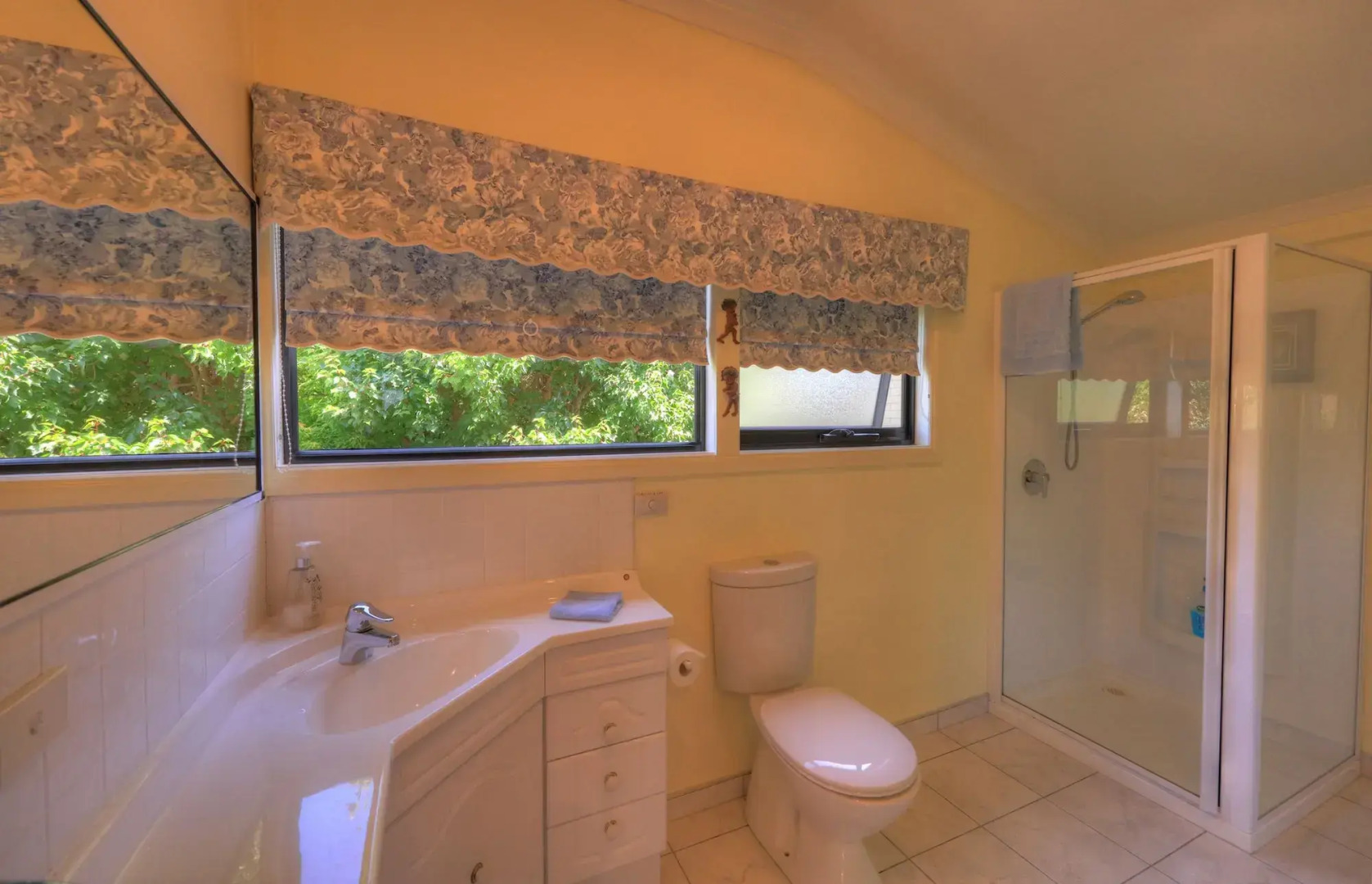 Birchwood on the River