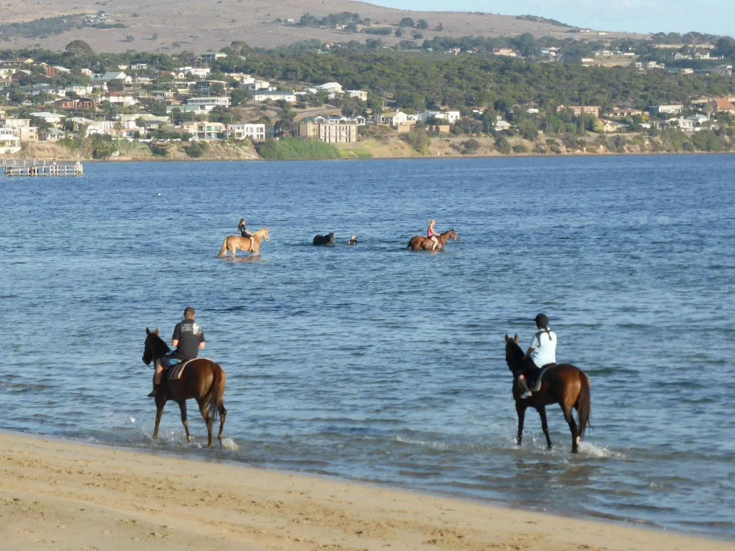 Best Western Port Lincoln