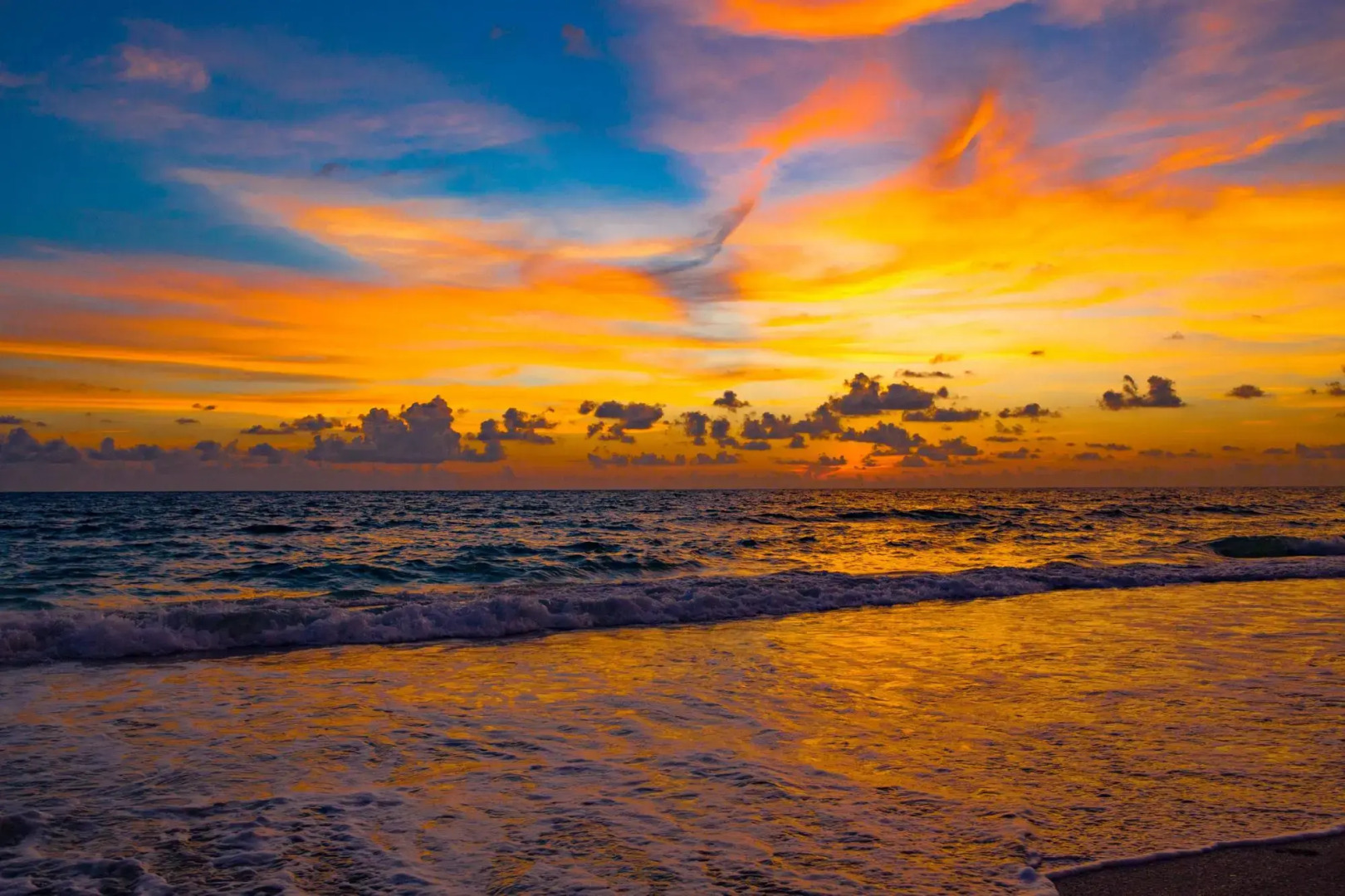 The Anna Maria Island Beach Paradise 5