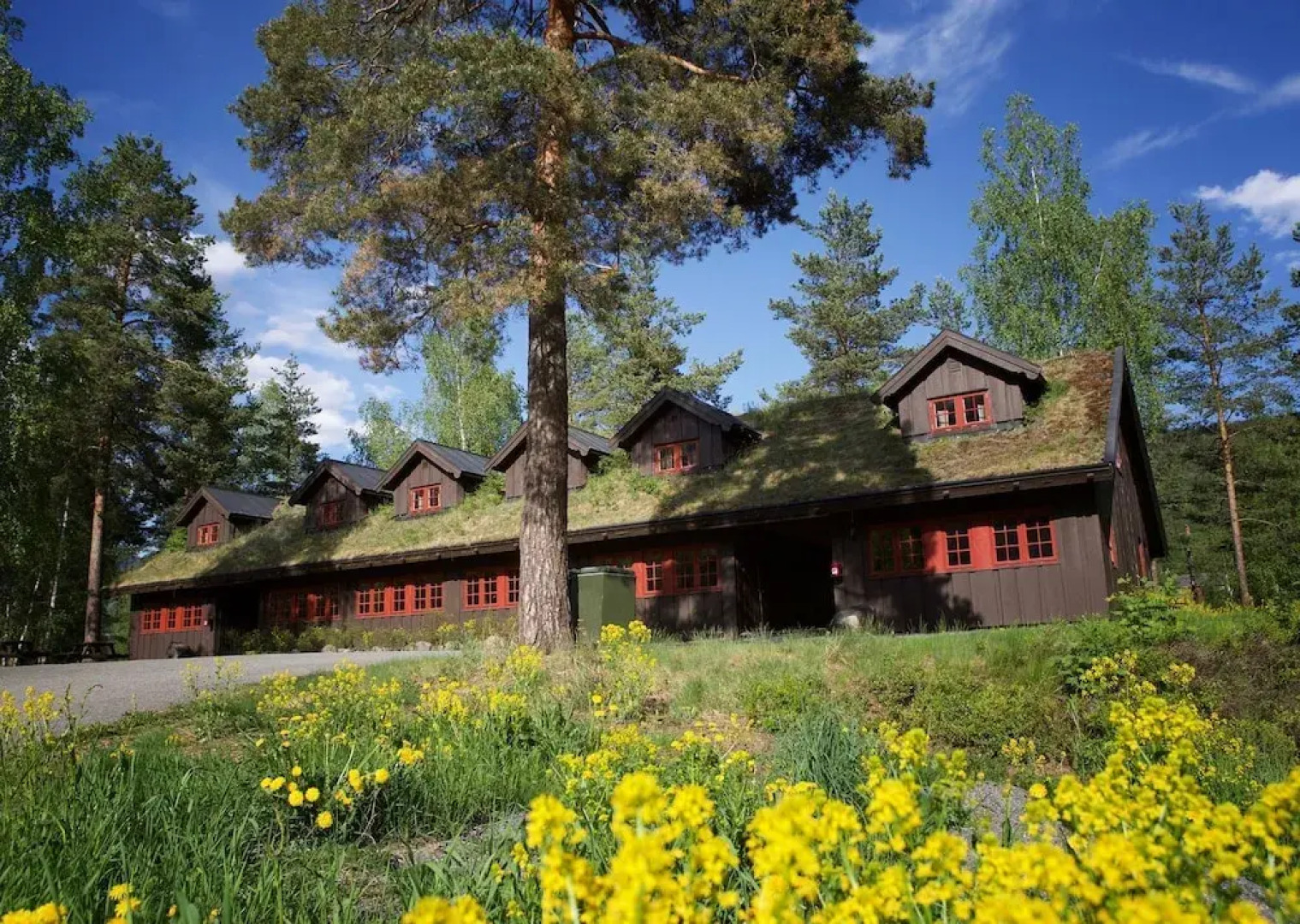 Hunderfossen Leiligheter Hafjell