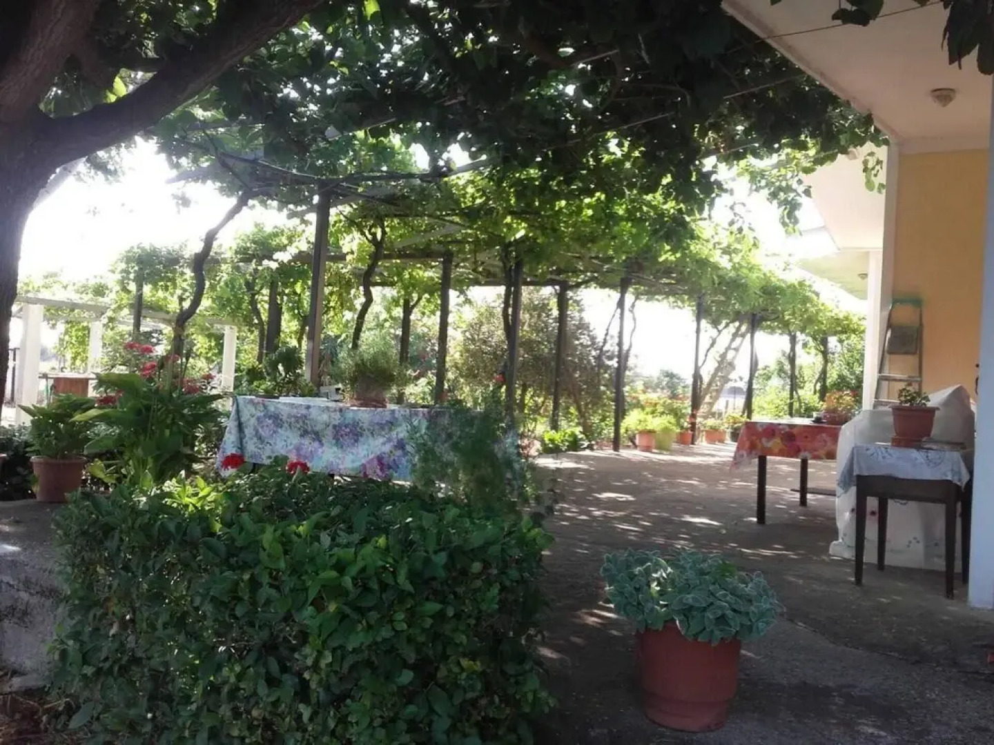 Country Cottage in Kardiakafti, Peloponnese