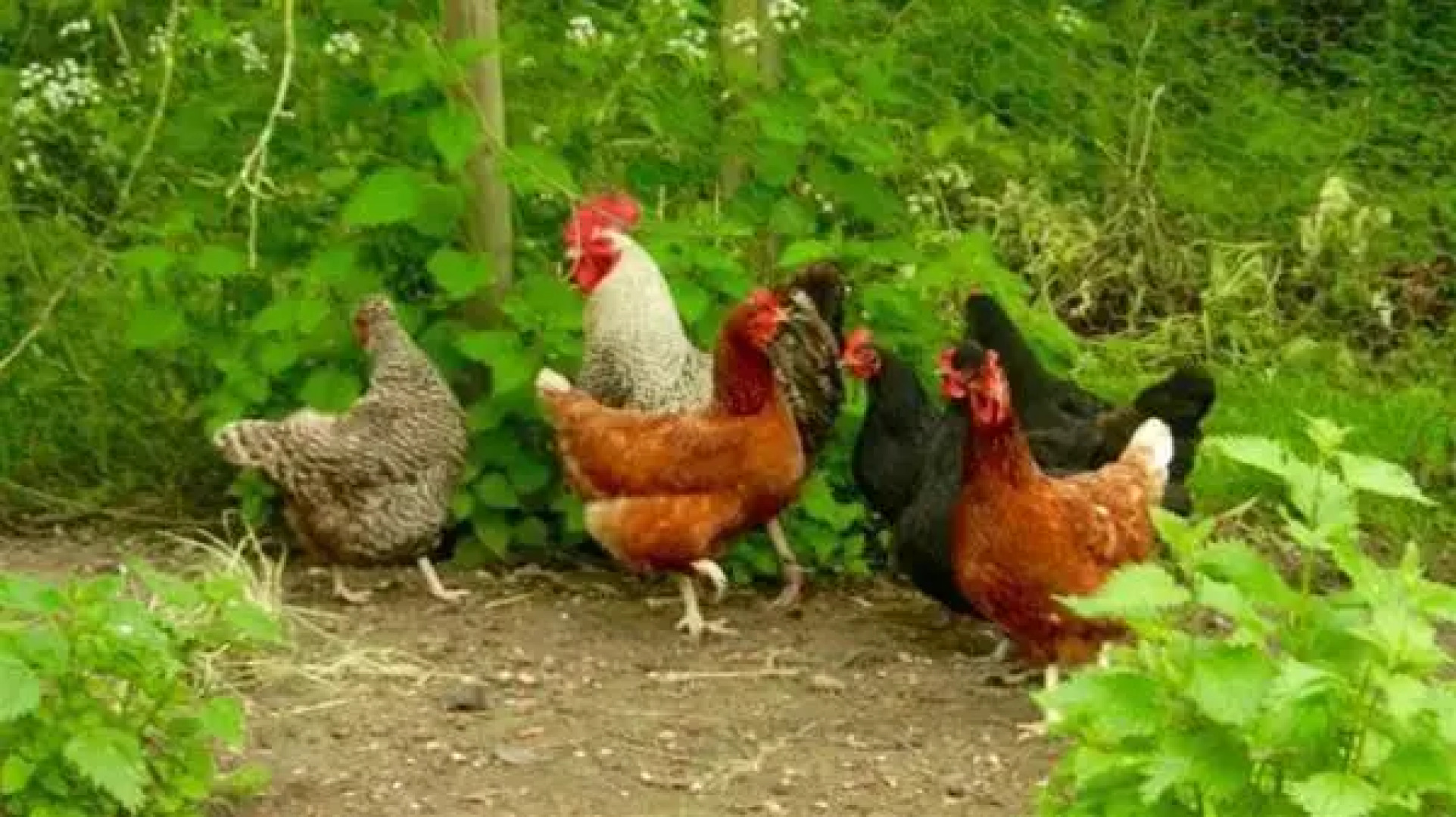 The Old Rectory, Kettlebaston