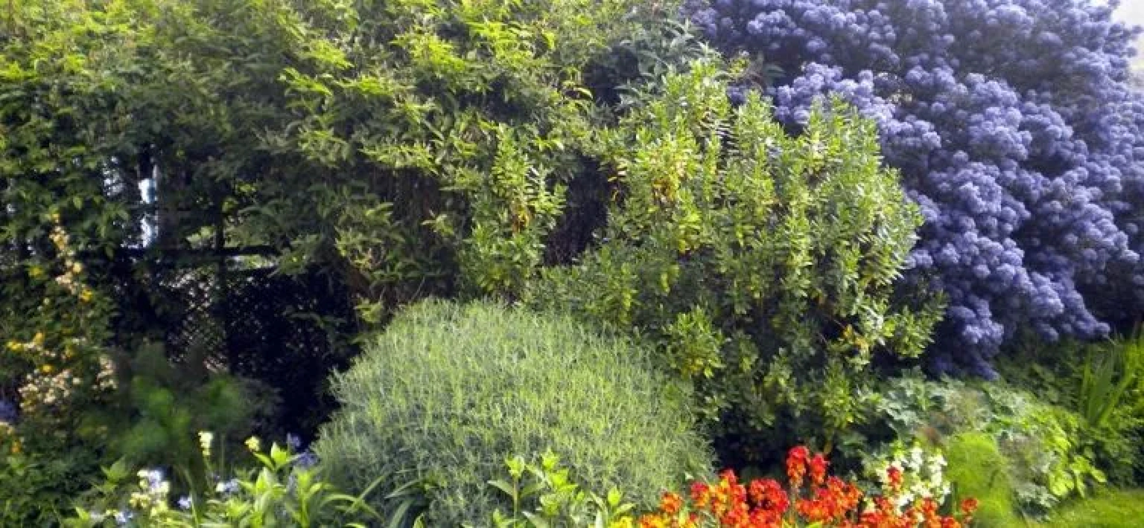 Hayleys Corner B&B