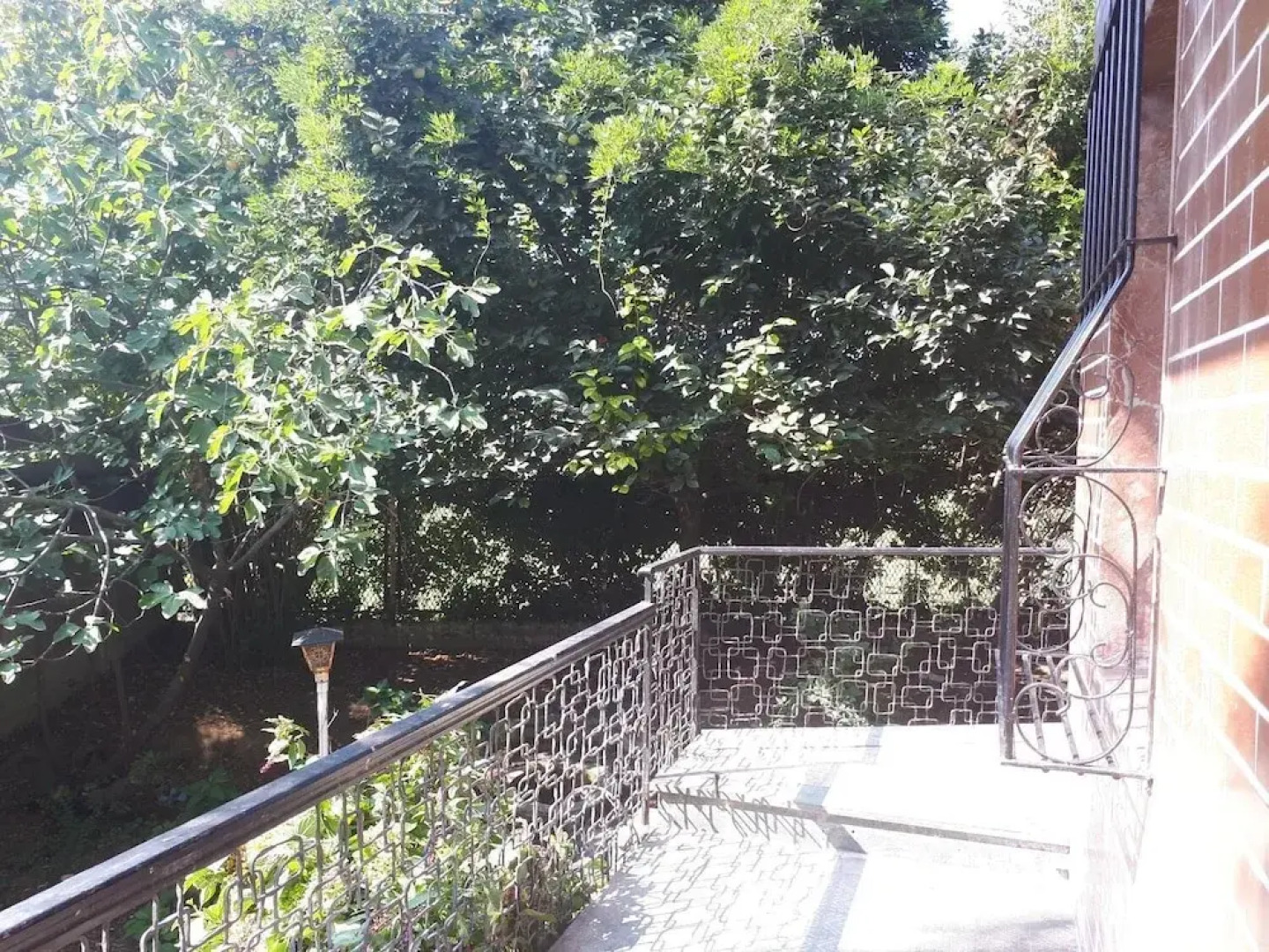 La casa di Mango e Pistacchio