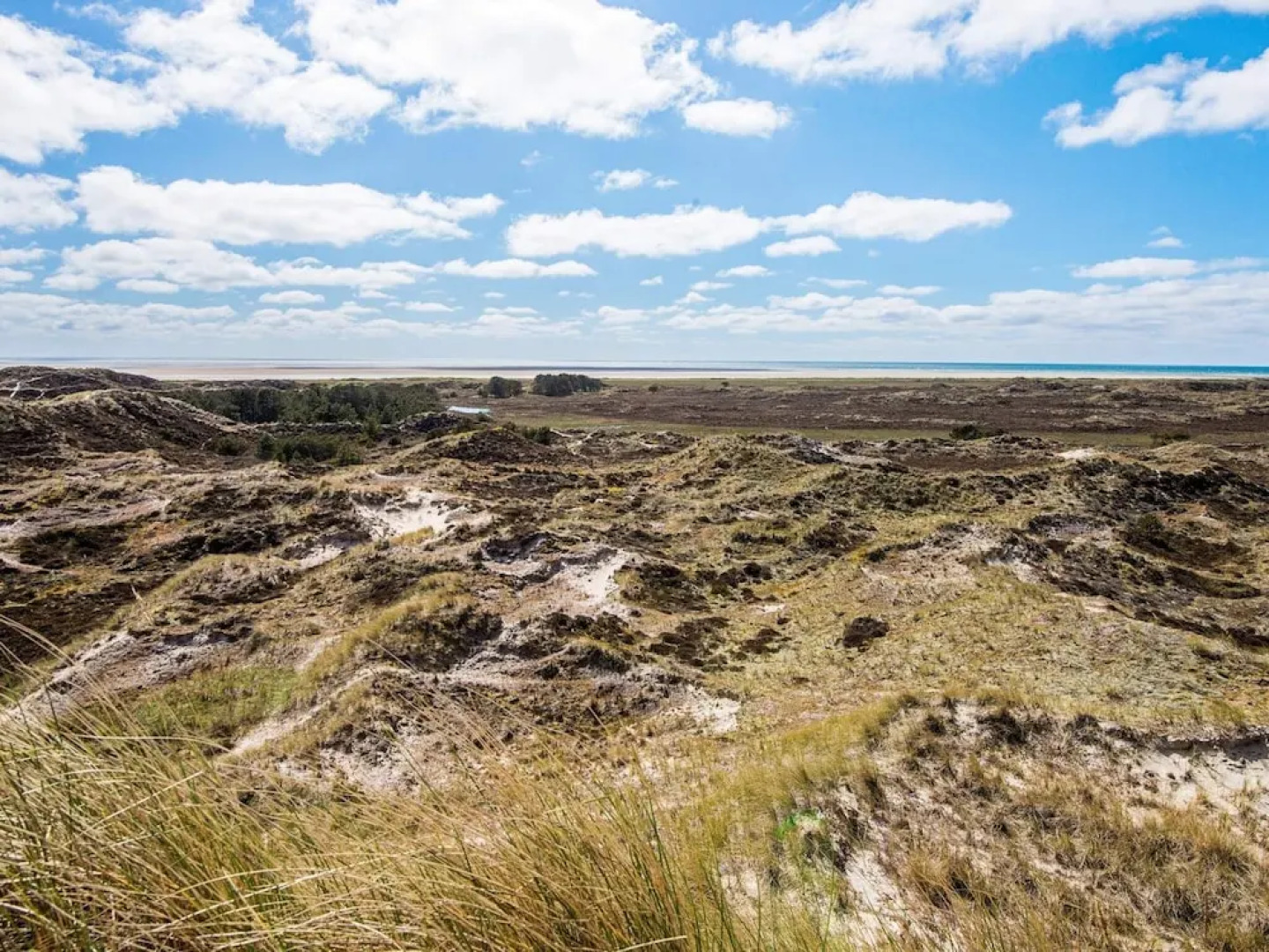 12 Person Holiday Home in Fano