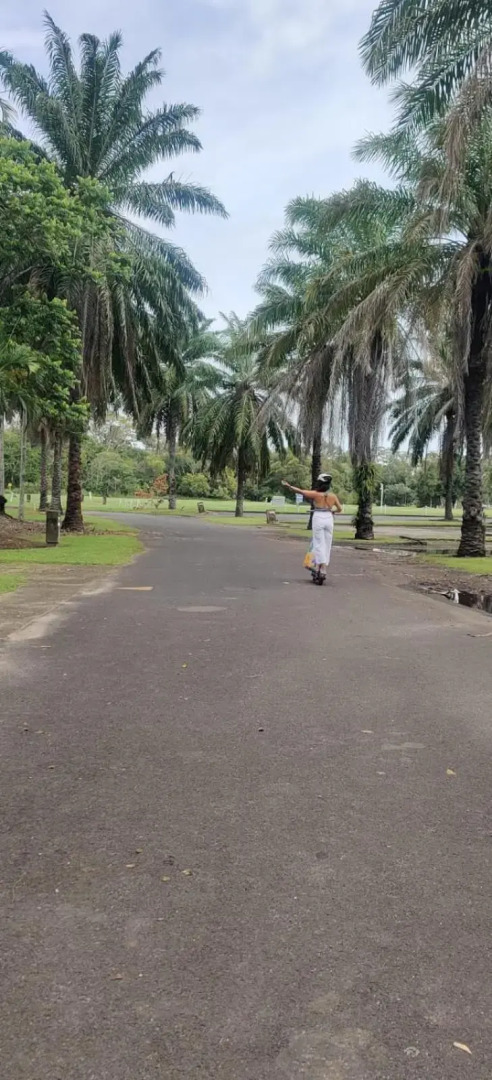 Reeforest☆2 pools☆spa☆hammock☆scooters☆WiFi☆Netflix☆parking☆