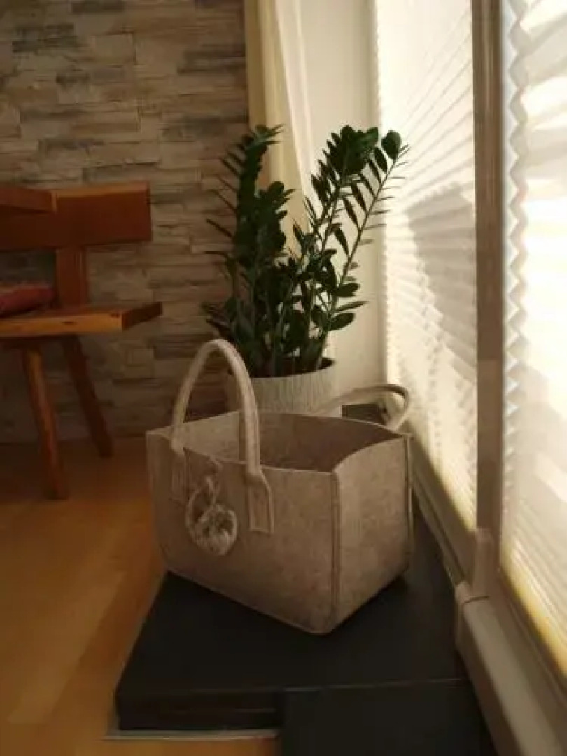 Ferienwohnung Alpenblick