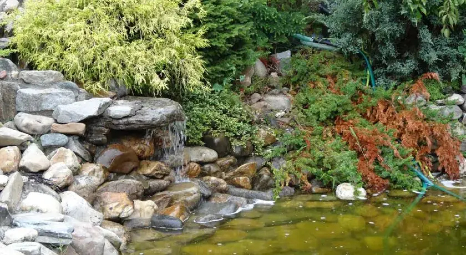 Zajazd "Pod Niedźwiedziem"