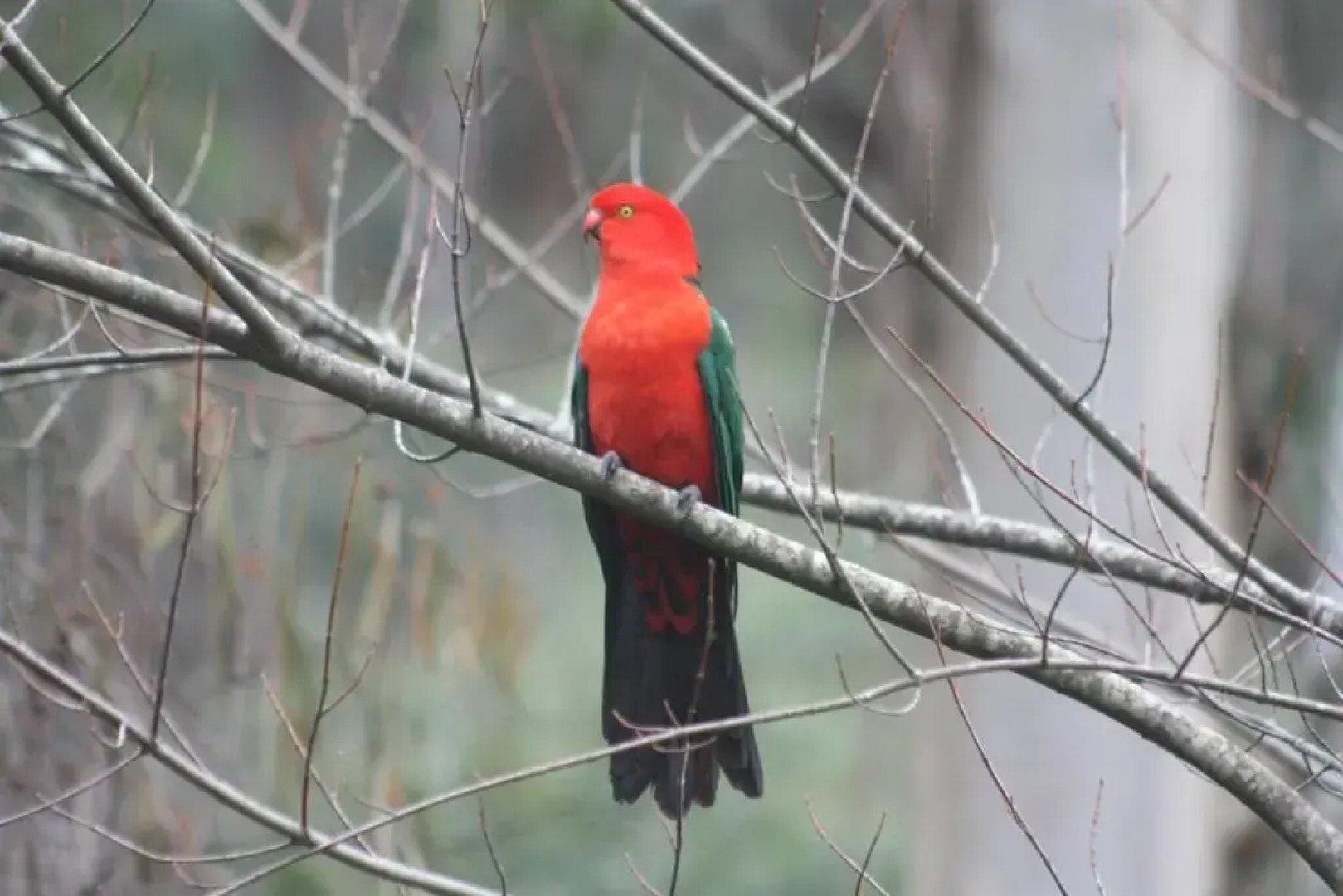 shady brook cottages