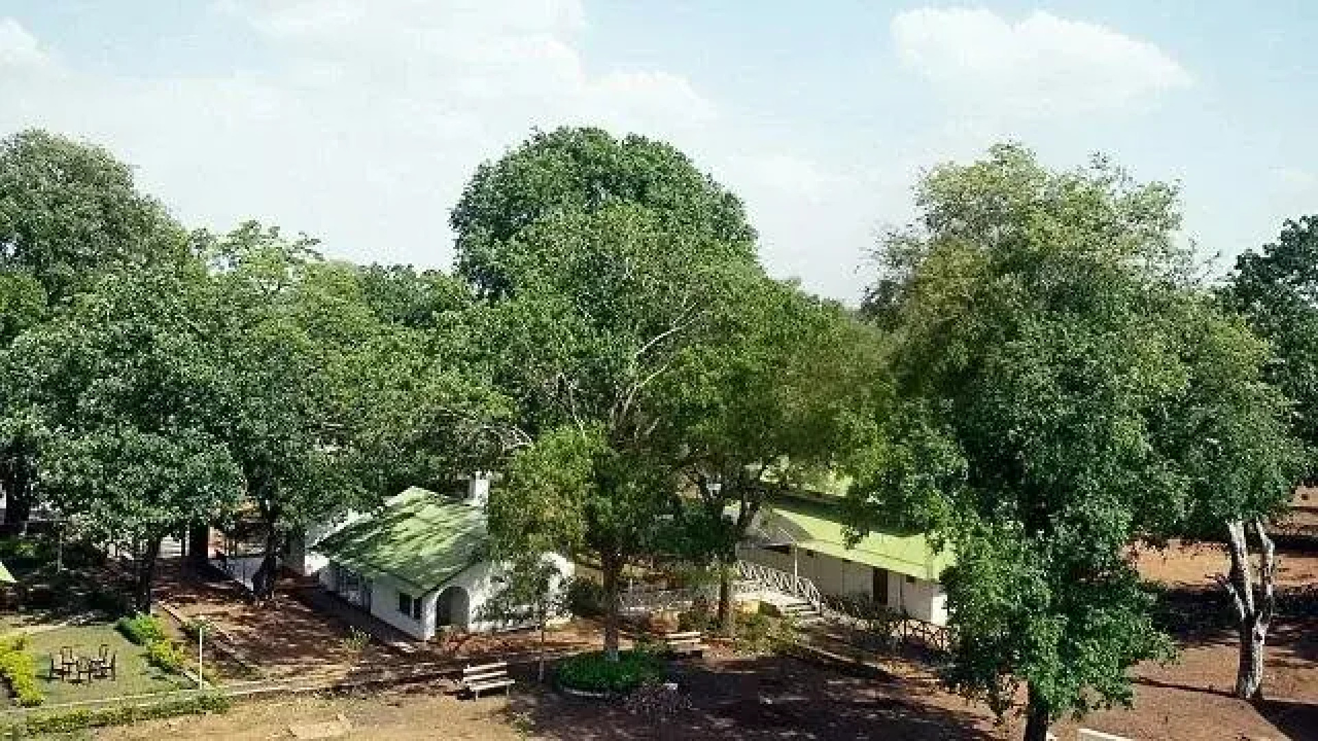 Woodland Adventure Resort