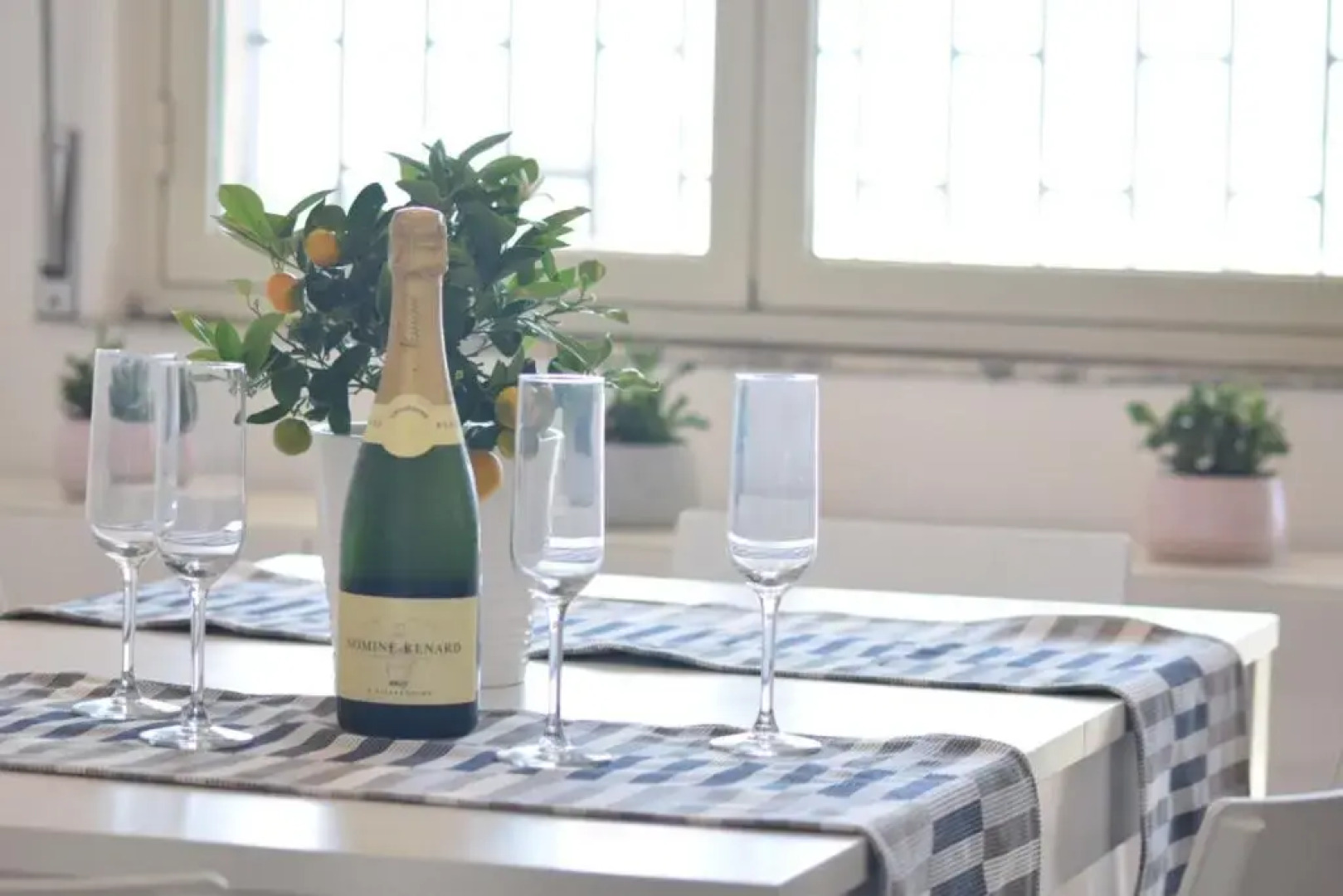 Seafront apartment in Villa , near Rome