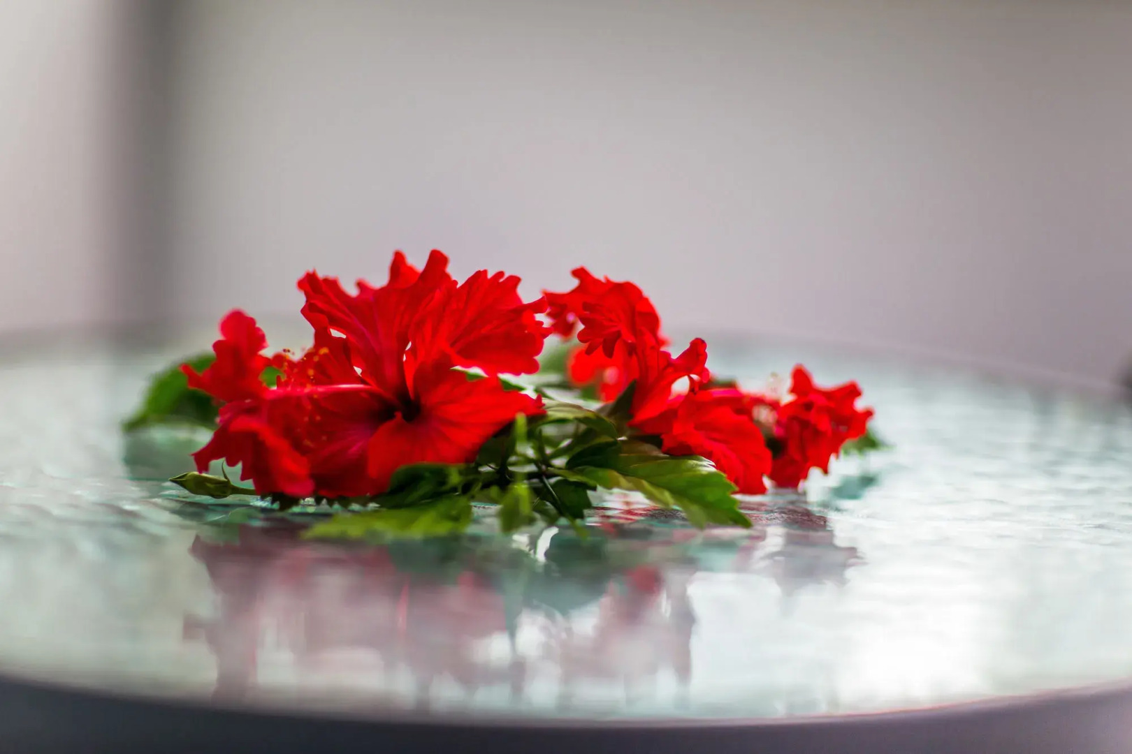 The Black Pearl Beach Side Apartments