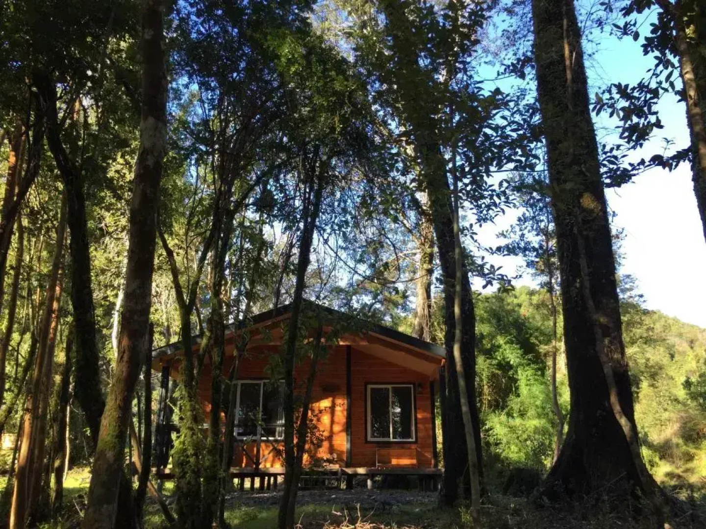 Cabañas Parque Michimahuida