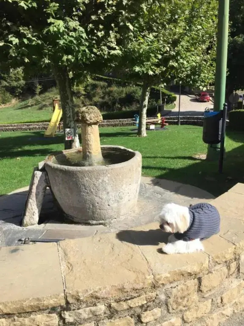 apartamentos turisticos san juan de la peña