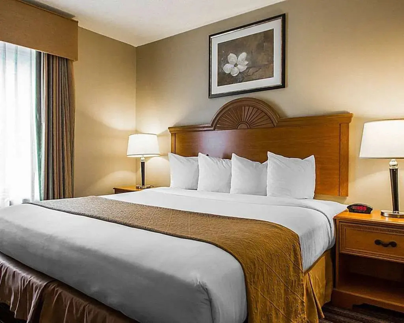 Quality Inn & Suites