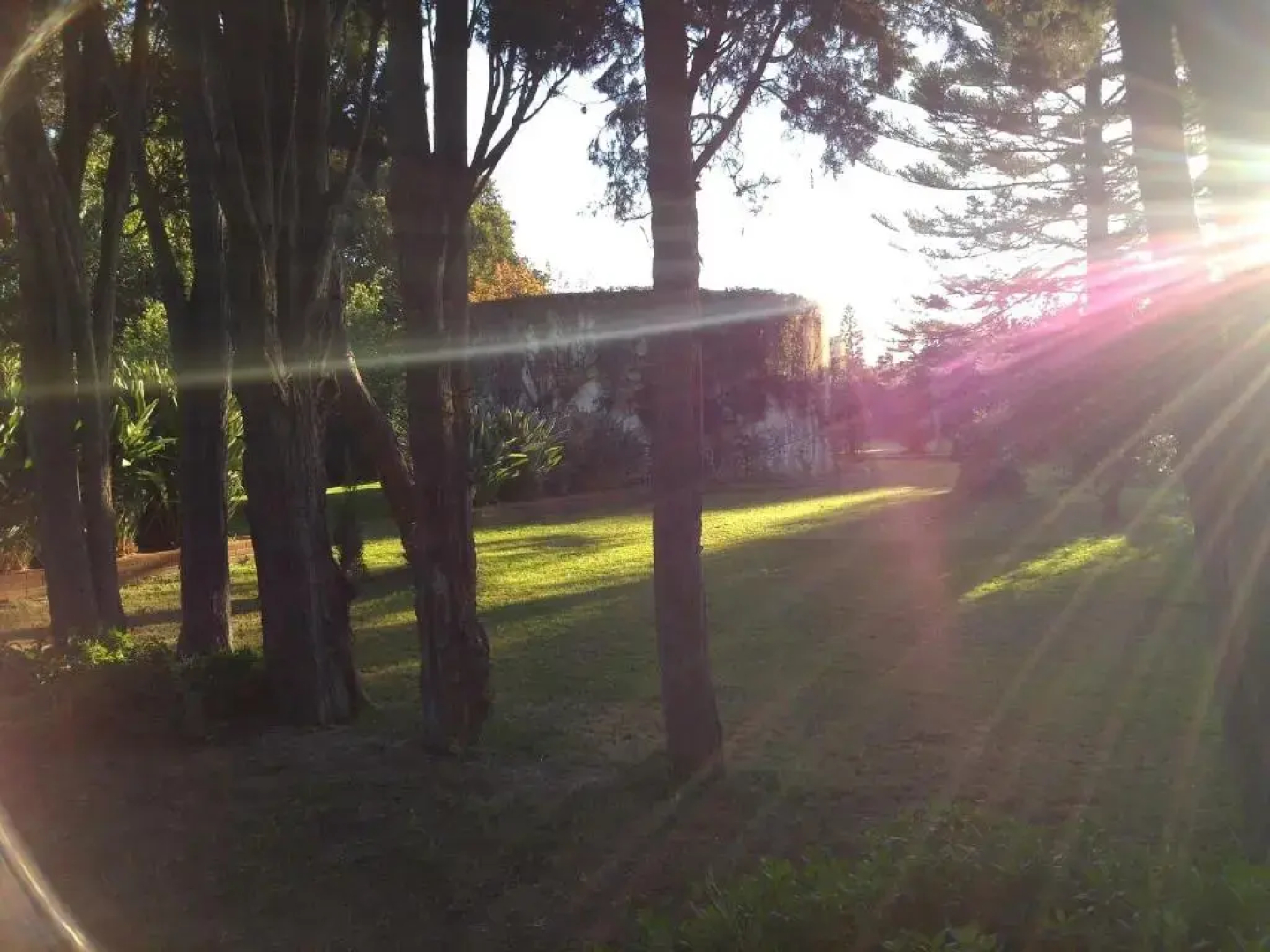 Villa Giardini