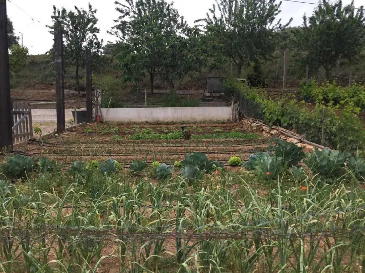 Holiday home Monte das Azinheiras