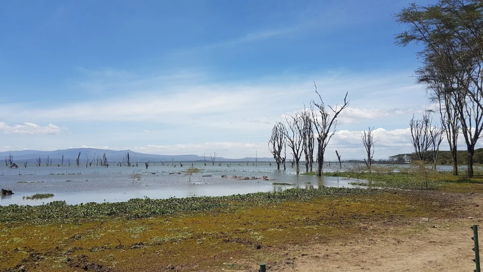 Petluck Resort Naivasha