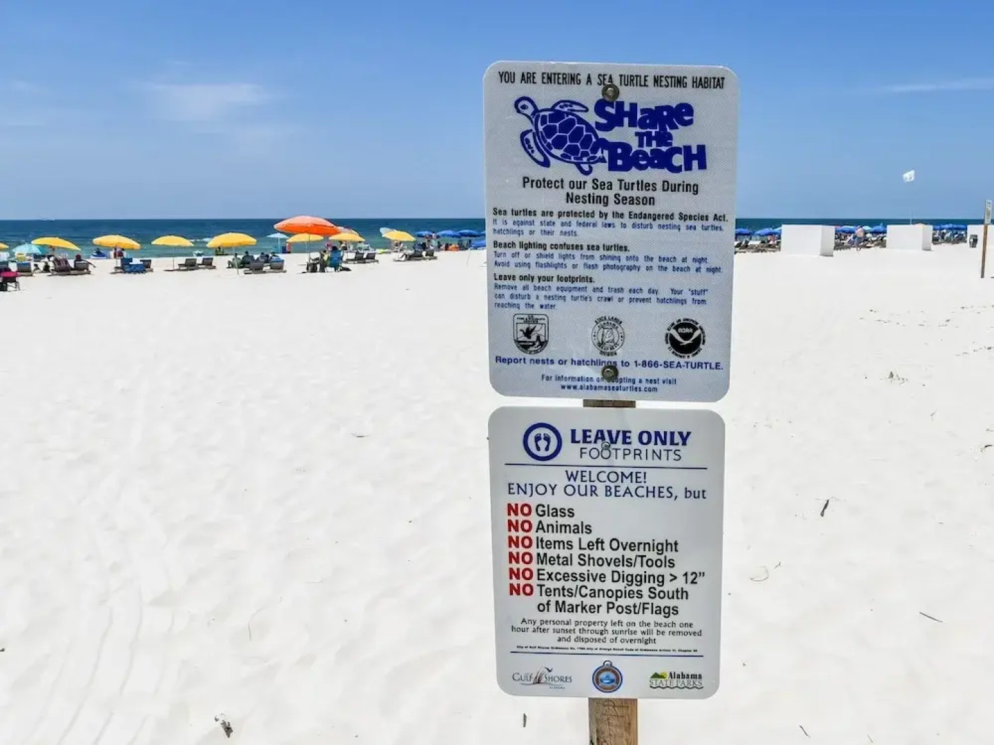 Royal Gulf Beach & Racquet Club 5001 2 Bedroom Condo by Redawning