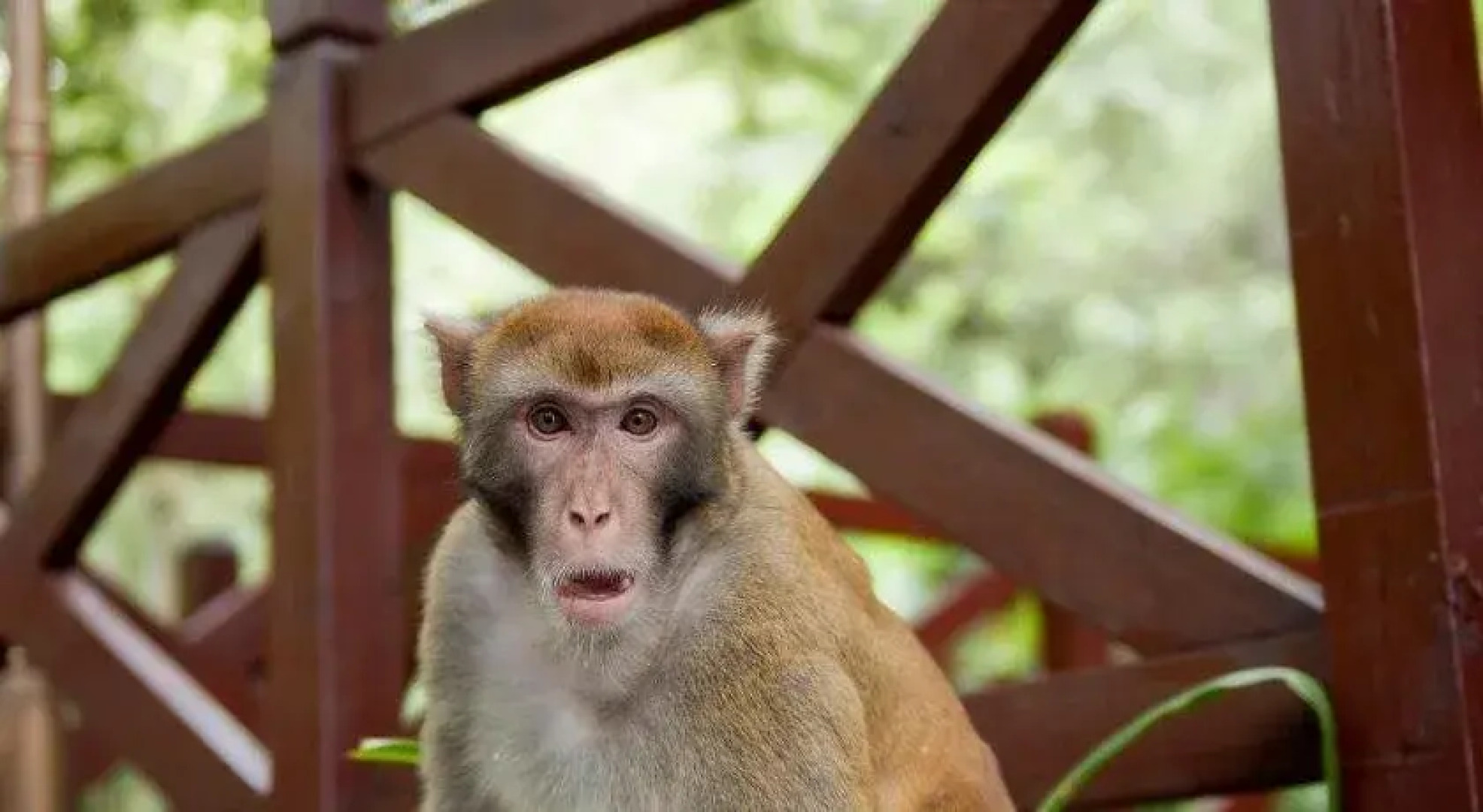 Guilin Crystal Crescent Moon Hotel